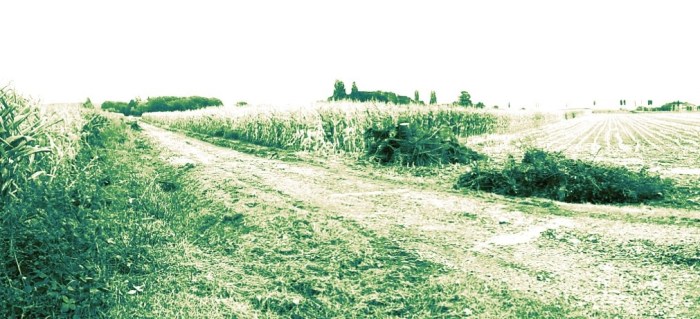 BA II im Bau / Der alte Plaggenweg