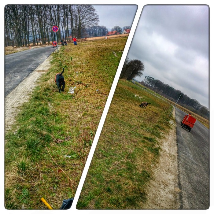 Vorher / Nachher Effekt in der Thielheide