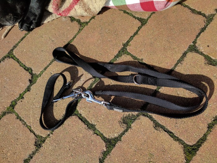 leine_von_muellsuchaktion