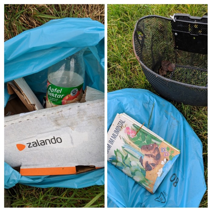 20190310_115313-COLLAGE