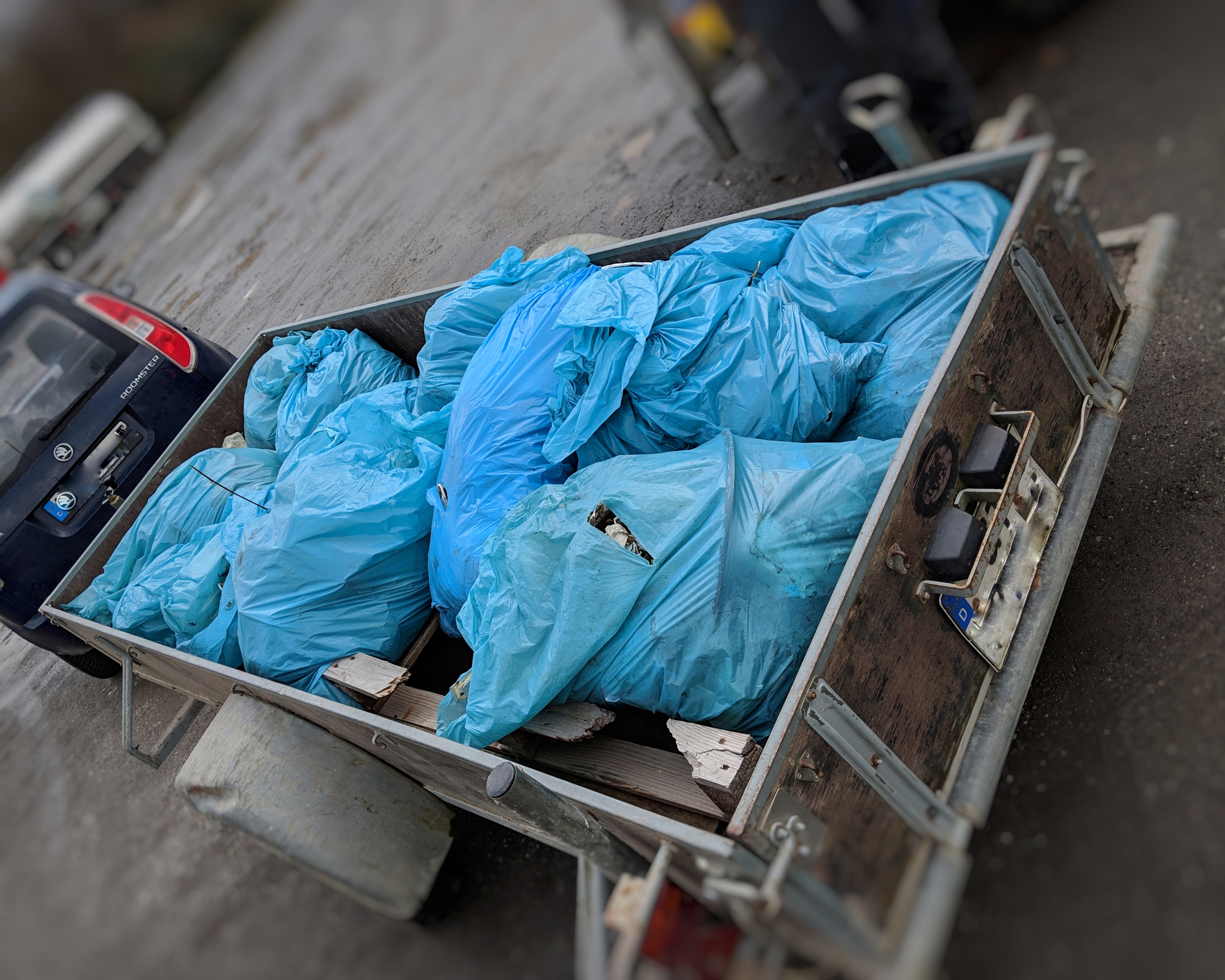 IMG_20190309_120449-01